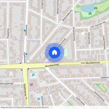 Oppermannsvej 16, 2. tv, 5230 Odense M