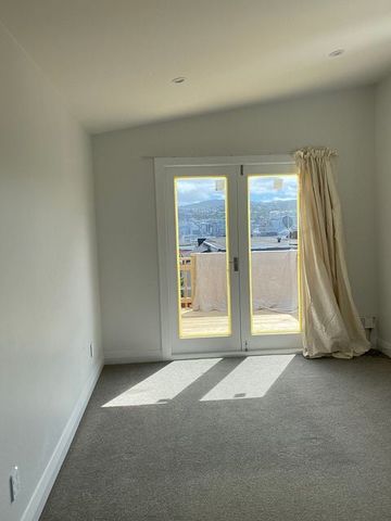 As New 2 bedroom house in Mt Vic - Photo 2