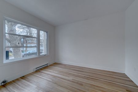 Appartement à louer, Montréal (Mercier/Hochelaga-Maisonneuve) - Photo 4