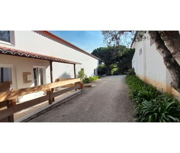 Moradia T2 em Lisboa - Photo 5