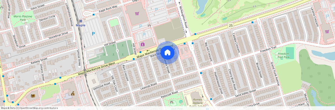 72 Black Maple Crescent Unit# Main &…, Vaughan