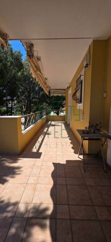 Μονοκατοικία για ενοικίαση Μορτερό (Νέα Ερυθραία) - Photo 2