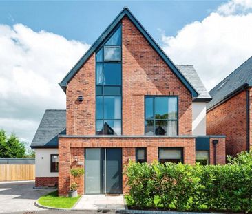 4 bedroom detached house to rent - Photo 4