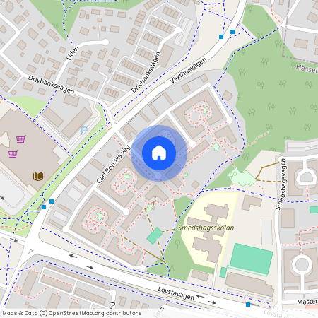 Carl Bondes väg 50, Villastaden