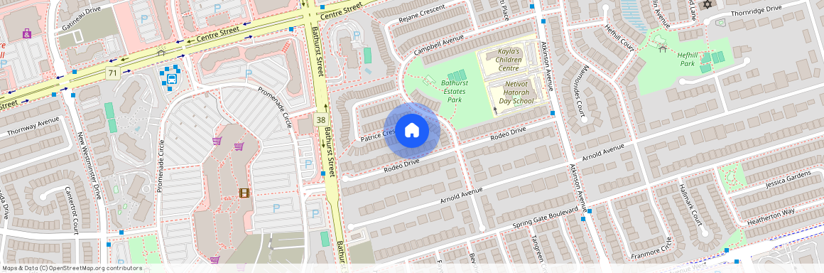 15 Patrice Crescent Unit# Bsmt, Vaughan