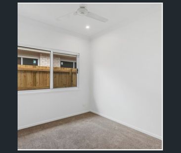 Brand New 4-Bedroom Family Home with easy yard to maintain - Check ... - Photo 5