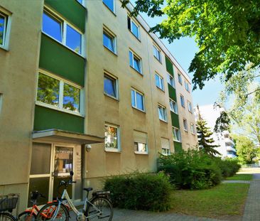 2-Zimmer-Wohnung in Frankenthal (Pfalz) - Photo 1