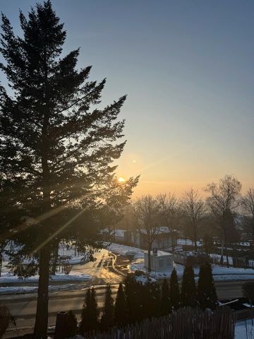 OMA Kompatibel Einfügsam,TOP Rente, SUCHT schöne Wohnung in Hünfeld bis 1000,- warm. - Foto 2