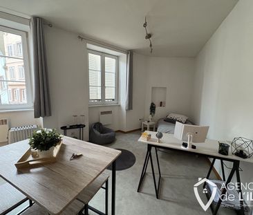 Location Appartement 2 pièces 30m² SELESTAT 67600 - Photo 2