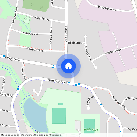 5 Buckland Drive, NSW 2800, Orange