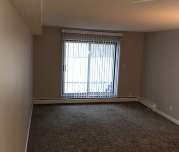 Small Pet Friendly Well Maintained 2 Bedroom Suite - Photo 2