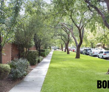 14/10 Ovens Street Griffith ACT - Photo 2