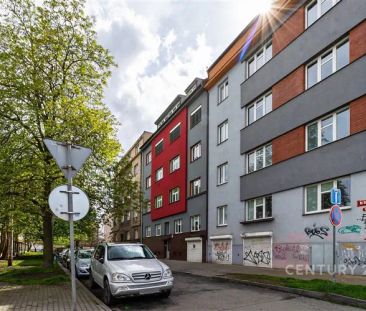 Pronájem vybaveného pokoje v bytě 2+1, se zahrádkou, Plzeň Jižní Př... - Fotografie 6