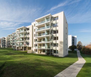 Erstvermietung nach Sanierung: Schöne Wohnlage- Nähe Waldrand - Foto 5