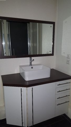 Location Appartement 1 pièce 28m² VILLEURBANNE 69100 - Photo 4