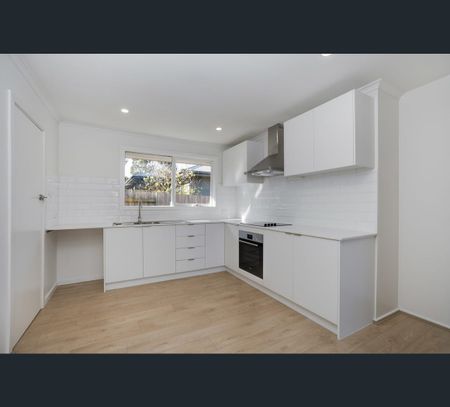 8/8 Ballater Avenue, Newtown, Vic 3220 - Photo 4