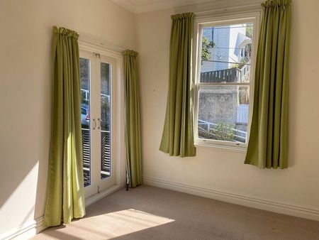 Sunny renovated Aro Valley home - Photo 2