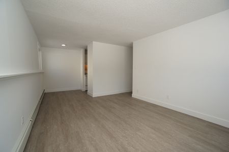 1 Bedroom - Photo 4