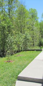 5 1/2 à louer près parc, école, rez-de-jardin - Photo 3