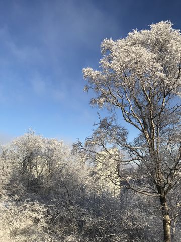 Doktor Forselius Backe, Göteborg - Foto 3