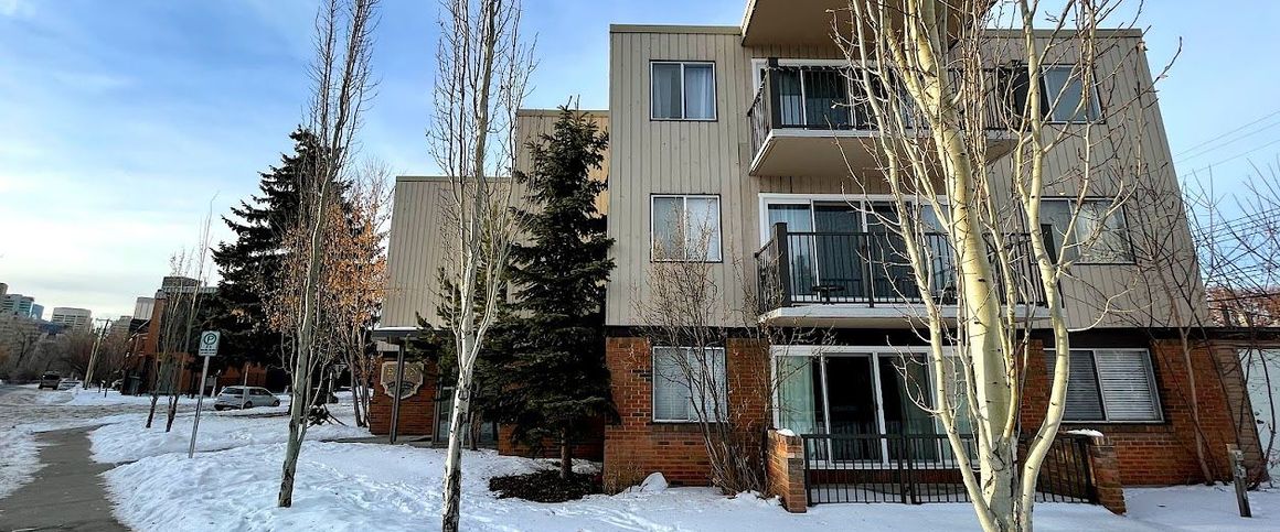 Spacious One-Bedroom Apartment in Beautiful Sunnyside - Photo 1