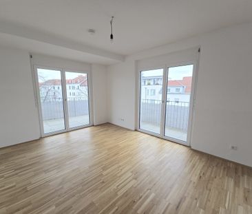 Neuwertige, geförderte 4 Zimmer-Wohnung mit großer TERRASSE in Egge... - Foto 1