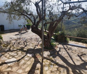 Finca rústica de alquiler en Camino de Coín, Centro ciudad - Photo 3