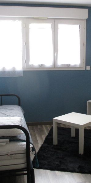 Location Appartement 1 pièce 18m² ORLEANS 45100 - Photo 1