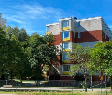 Hasselgatan 61 - Foto 4