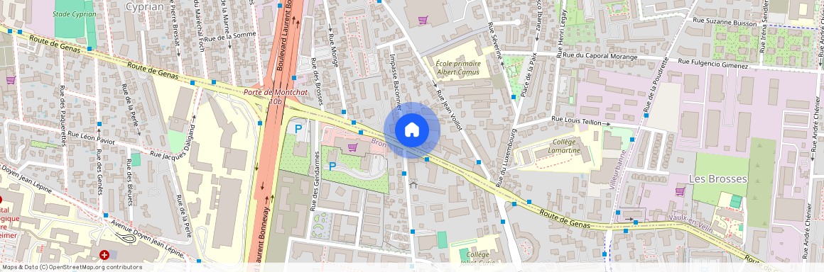 33 D impasse Baconnier, VILLEURBANNE, 69100