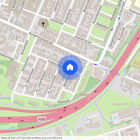 Keijenburg, 4702 AS, Esdoornlaan, Roosendaal