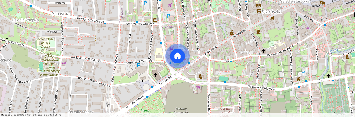 Plac Kościuszki, Centrum, 33-100, Tarnów