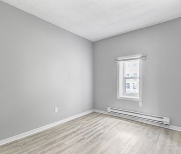 50 Bruyere Street - 5 - Photo 4