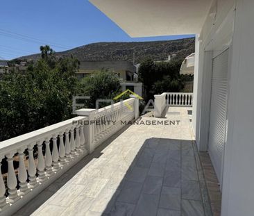 Μονοκατοικία για ενοικίαση Μαρκόπουλο - Photo 3