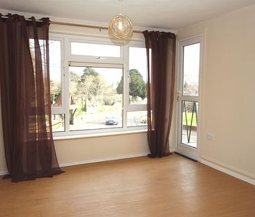 1 bedroom Apartment to let - Photo 5