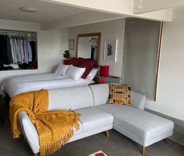 Spacious Mount Victoria Studio - Photo 3