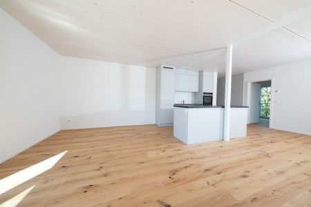 Moderne 2.5-Zimmer-Wohnung mit Holzboden und ländlicher Aussicht - Foto 4