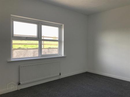 226 Doury Road, Ballymena, BT43 6SS - Photo 2