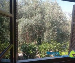 Μονοκατοικία για ενοικίαση - Αρτέμιδα, - Φωτογραφία 5