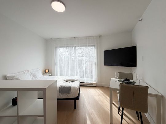 Freshly renovated studios in the heart of Ahuntsic. Modern finishes, bright open layouts, and steps from Fleury Street's - Photo 1