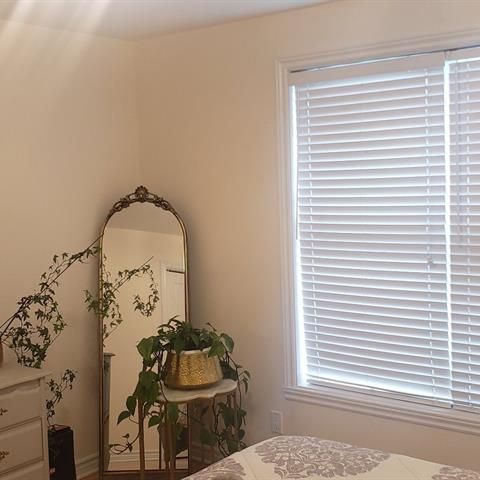 6927 Boul. Pie IX - Photo 1