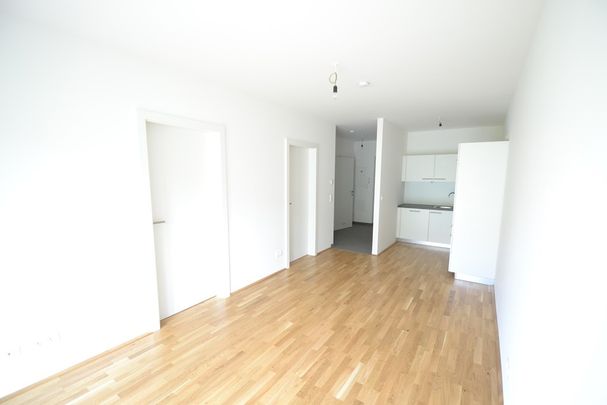 Geidorf – 52m² – 3 Zimmer – große Terrasse – Eigengarten – WG fähig - Photo 1