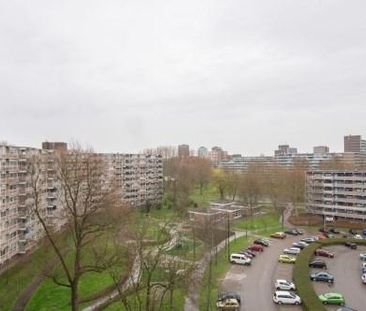Jonkerbos 0ong, 2715 SG Zoetermeer, Nederland - Foto 1