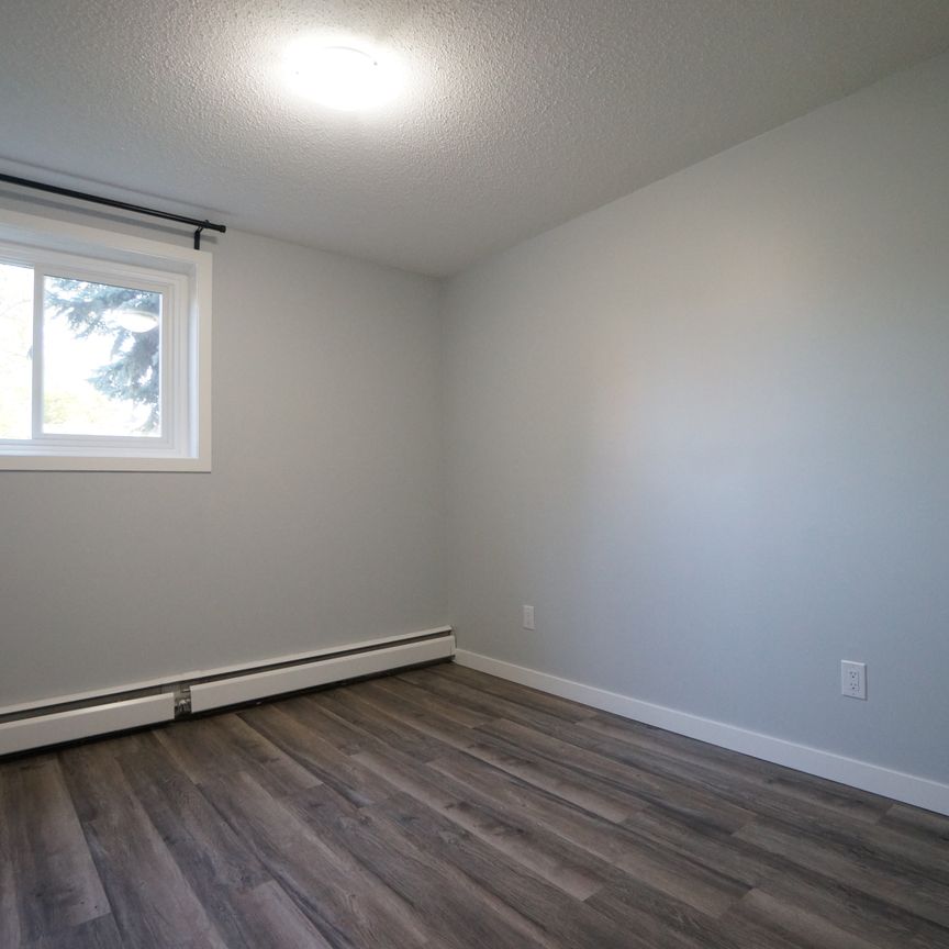 AMAZING newly reno'd Apartment in Lacombe! CATS OK! - Photo 1