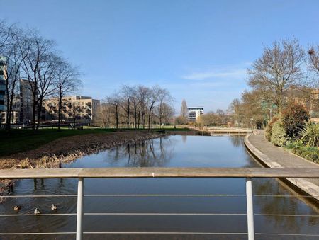 1 bedroom flat to rent - Photo 5
