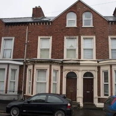 Unit 3, 43 Fitzroy Avenue, Belfast, BT7 1HS - Photo 4