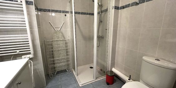 Location Appartement 1 pièce 28m² PALAISEAU 91120 - Photo 3