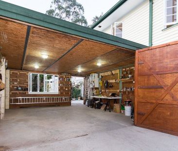 High in the Hills of Old Petrie - Photo 6