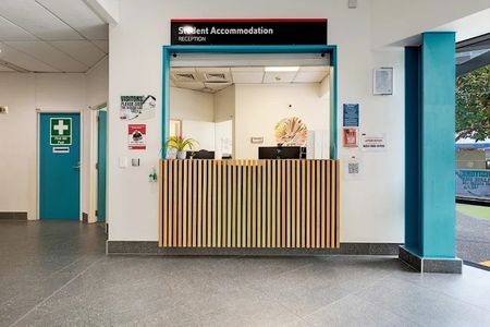 8 Mount Street, Grafton, Auckland - Photo 3