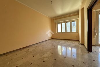 Quadrilocale in affitto